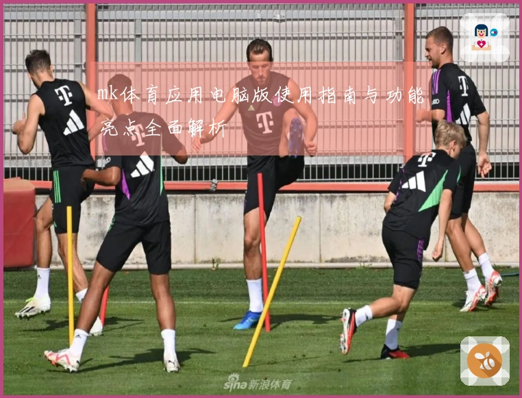 mk体育应用电脑版使用指南与功能亮点全面解析