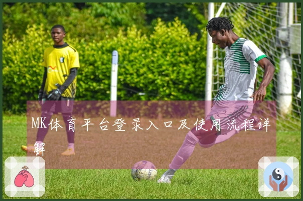 MK体育平台登录入口及使用流程详解